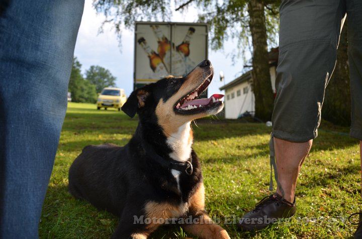 MCE Sommertreffen 2012 - 325.JPG